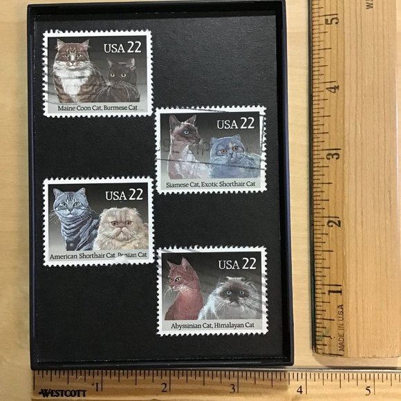 Cats - Recycled Postage Stamp Framed Art 3.5"x5", kitten, Siamese, Shorthair, ma - Picture 4 of 4